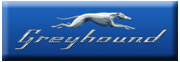 greyhound